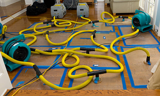 Professional Burst Pipe Water Damage technician working in Carmel, ME